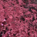 Burgundy Glitter