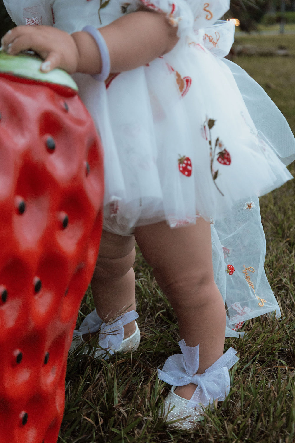 Emiko's First Birthday