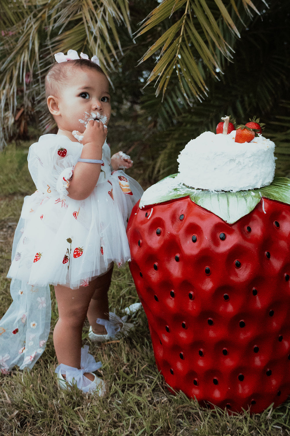 Emiko's First Birthday