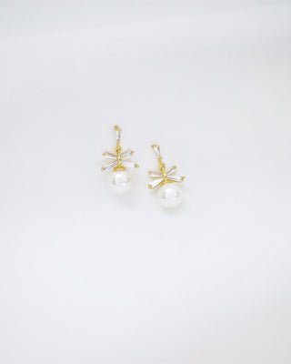 Rosy EarringJewelry