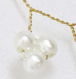 Pearl Branch Gold